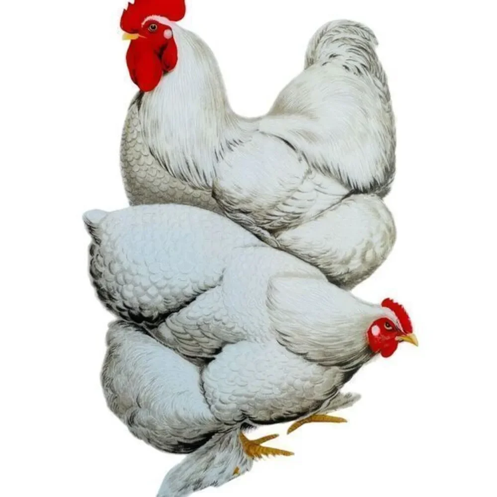 The Haldon Group Devonshire White Rooster & Hen Dinner Plate Country‎ Farmhouse